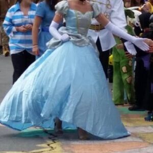 Blue Princess Adult Costume